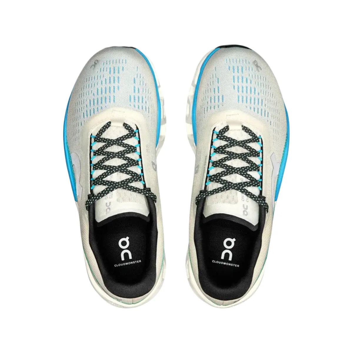 Men's Cloudmonster 2